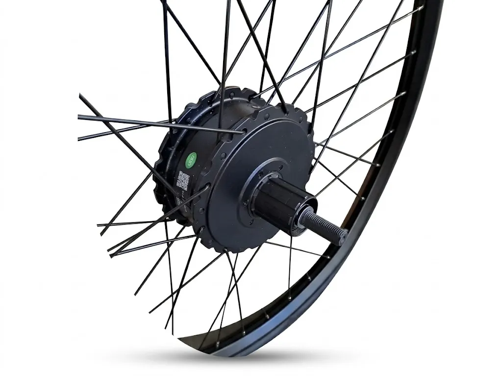 motoor v pestu 2.webp