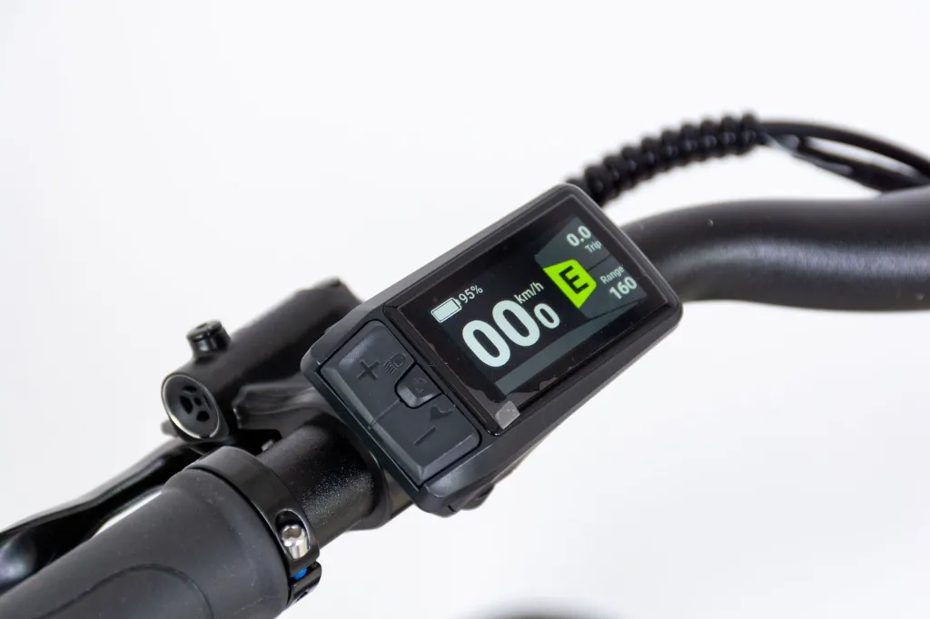 DSC_0038.webp
