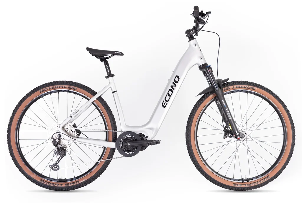 Electric bike ECONO Gams MTB 29 EEC6 Aluminium grey 2026 (L, 700Wh (20Ah))