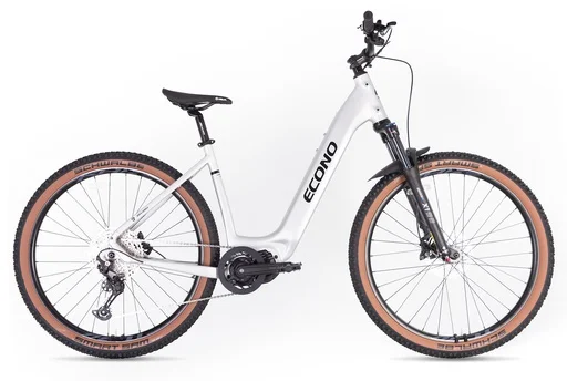 Electric bike ECONO Gams MTB 29 EEC7 Aluminum grey, 2026 (L, 520Wh (15Ah))