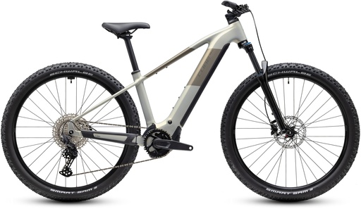 Electric bike Cube Reaction Hybrid ONE 720 pearlsilver´n´chrome 2027  (S)