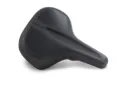 Saddle ACID SHEN CMPT