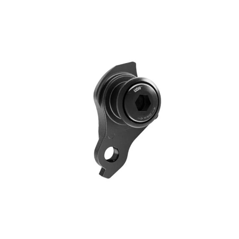 Sram UDH derailleur hanger, Universal 8660